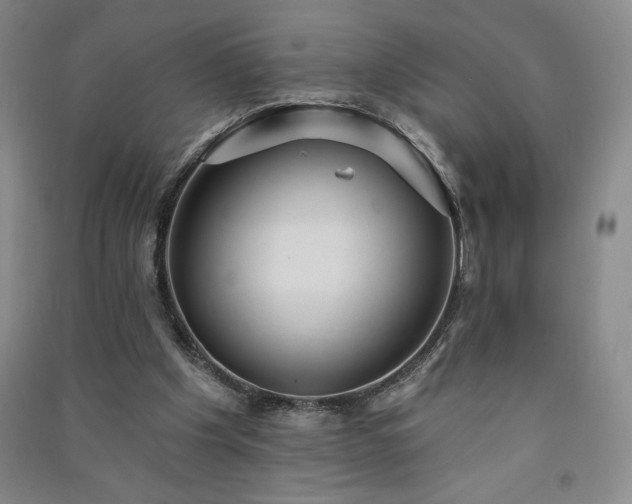 X0000091330201200708171358