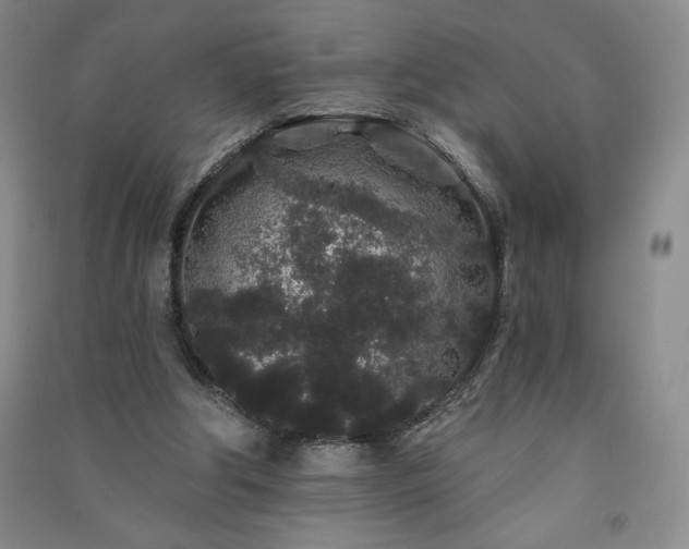 X0000091330202200708171358