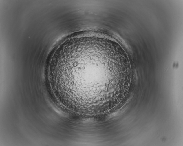 X0000091330203200708171358