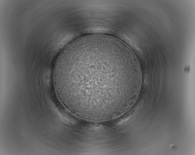 X0000091330206200708171357