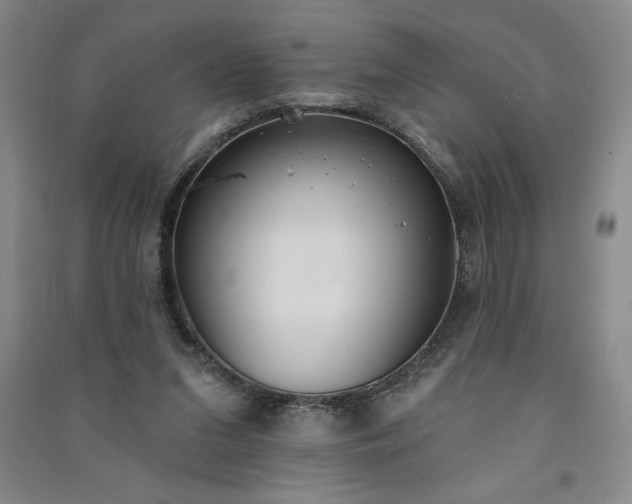 X0000091330207200708171357