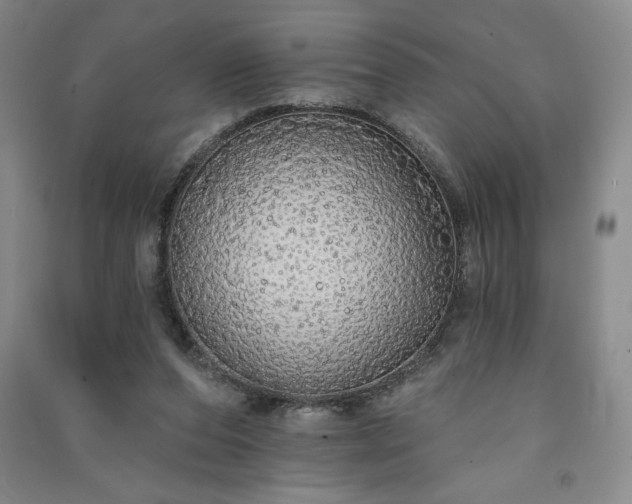 X0000091330208200708171357