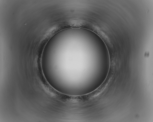 X0000091330209200708171357