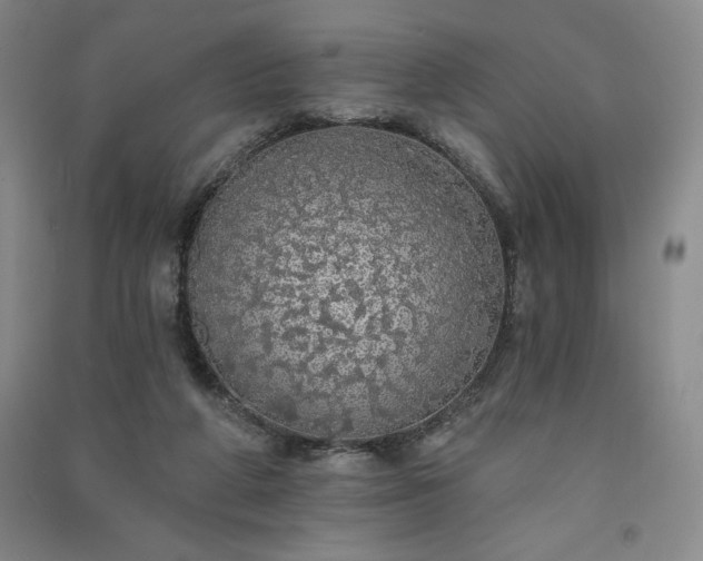 X0000091330210200708171357