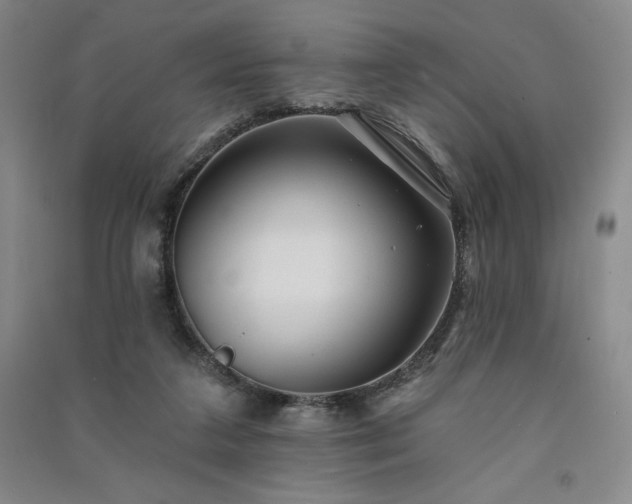 X0000091330211200708171357