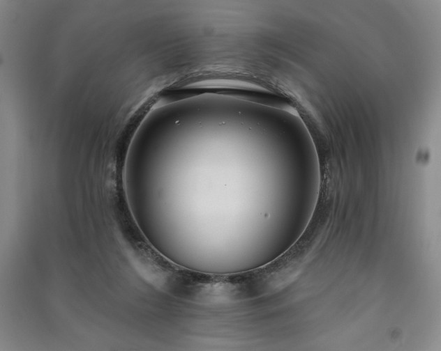 X0000091330212200708171357