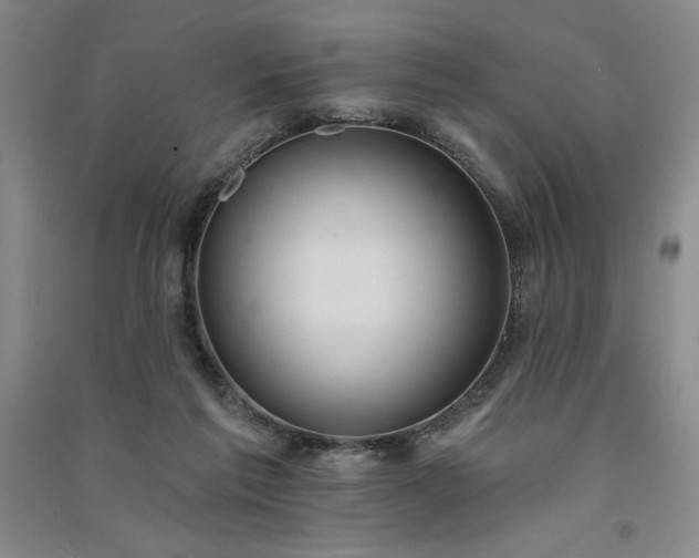 X0000091330213200708171357