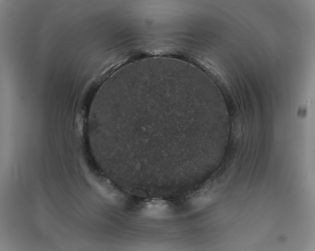 X0000091330214200708171357