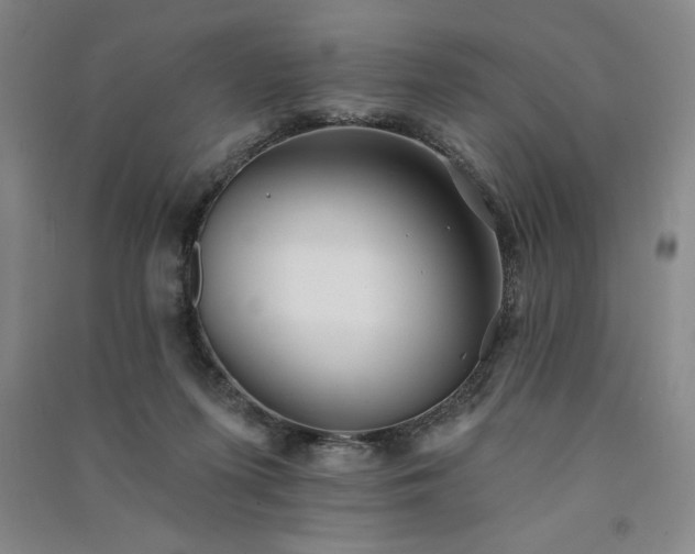 X0000091330215200708171357