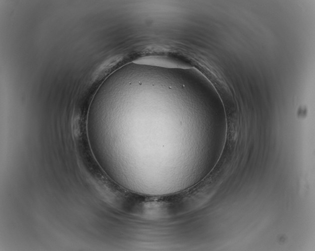 X0000091330216200708171357