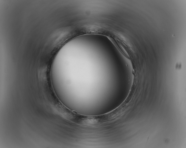 X0000091330217200708171357