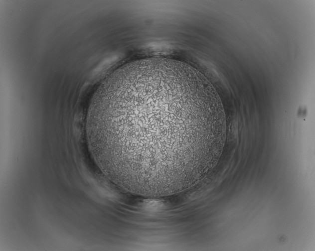 X0000091330218200708171357