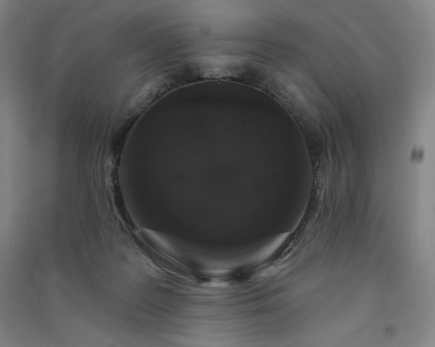 X0000091330219200708171357