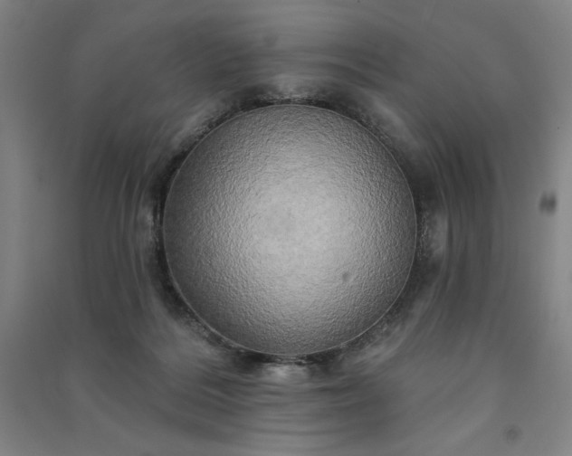 X0000091330220200708171357