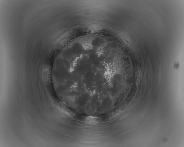 X0000091330222200708171357