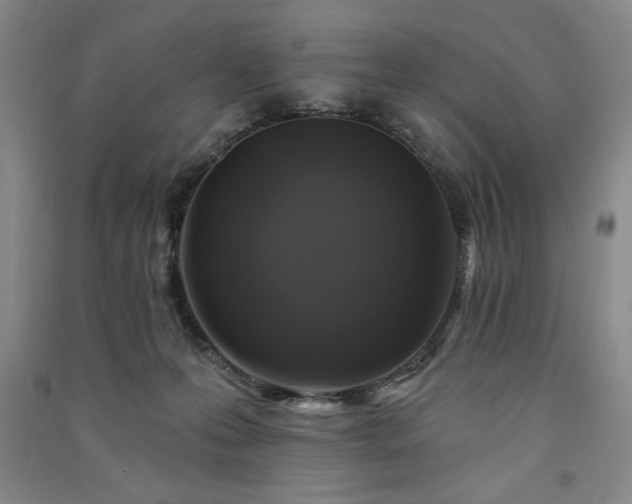 X0000091330223200708171357