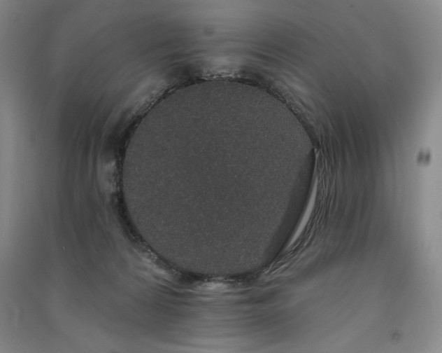 X0000091330224200708171357