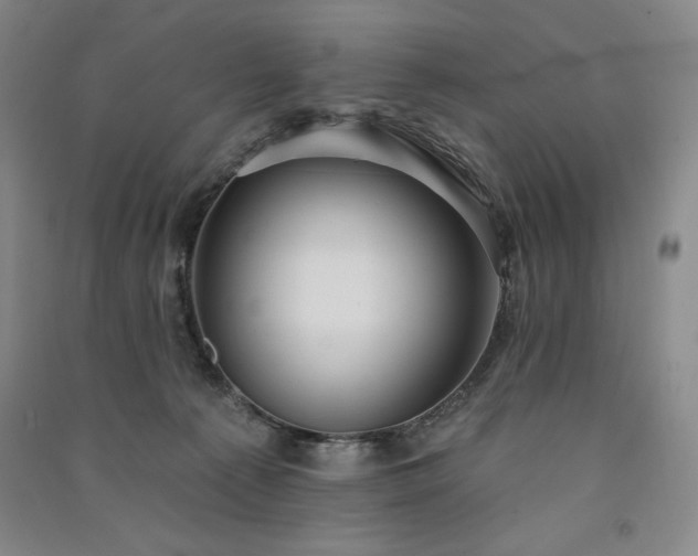 X0000091330225200708171357