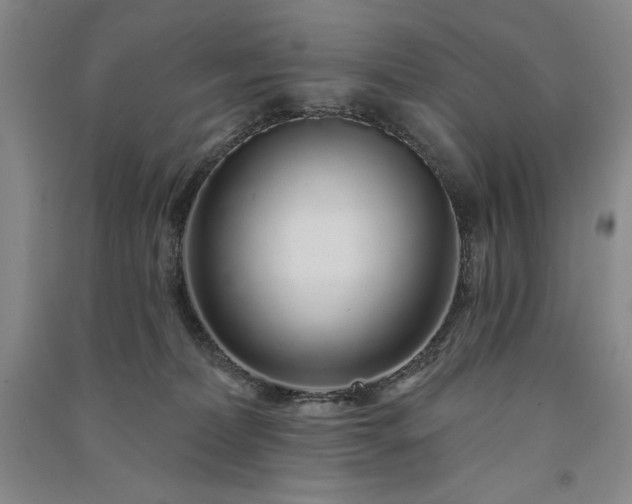 X0000091330228200708171357