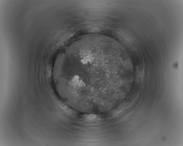 X0000091330230200708171357