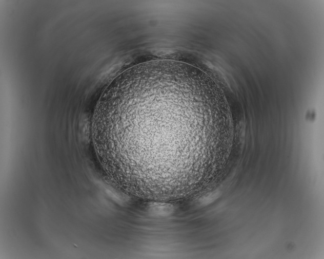 X0000091330234200708171357