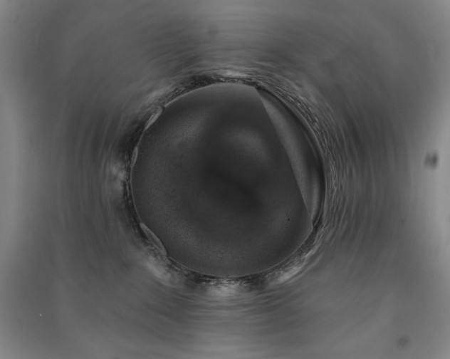 X0000091330235200708171357