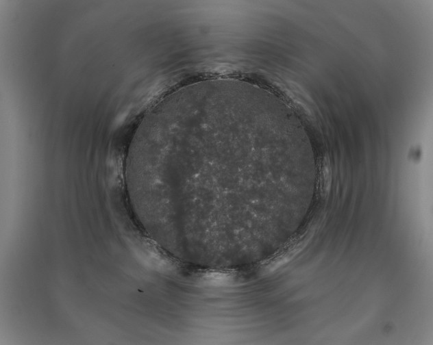 X0000091330236200708171357