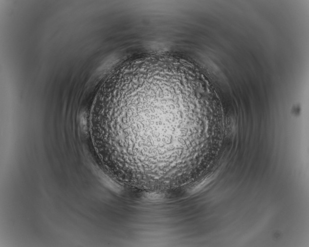 X0000091330238200708171357