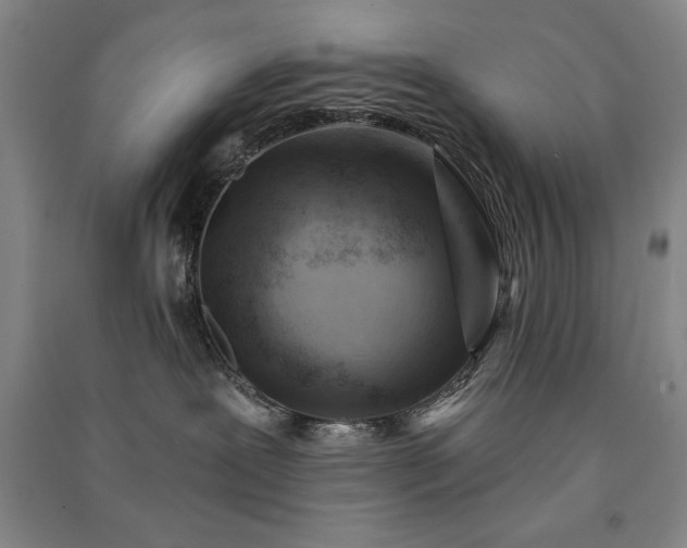 X0000091330239200708171357