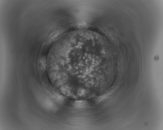 X0000091330240200708171357