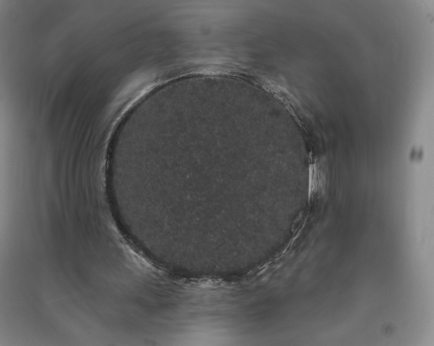 X0000091330243200708171356