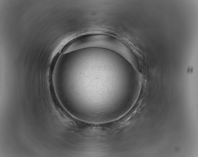 X0000091330244200708171356