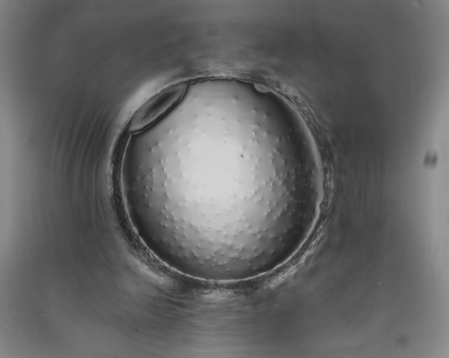 X0000091330246200708171357