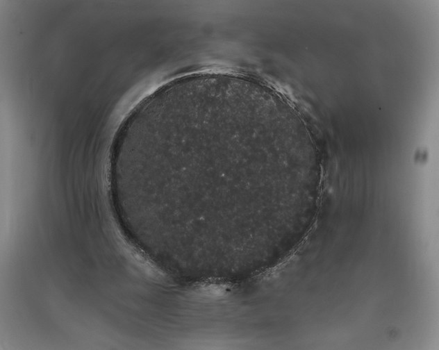 X0000091330247200708171357