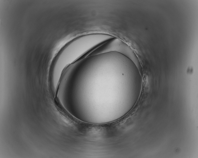 X0000091330248200708171357