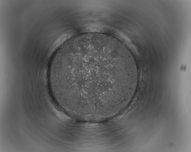 X0000091330250200708171357