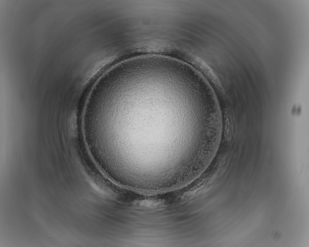 X0000091330251200708171357