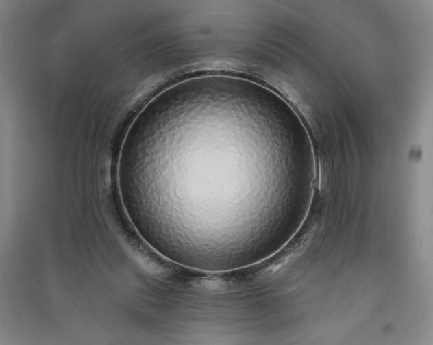 X0000091330253200708171357