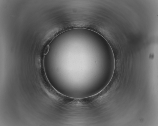 X0000091330254200708171357