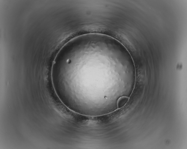 X0000091330255200708171357