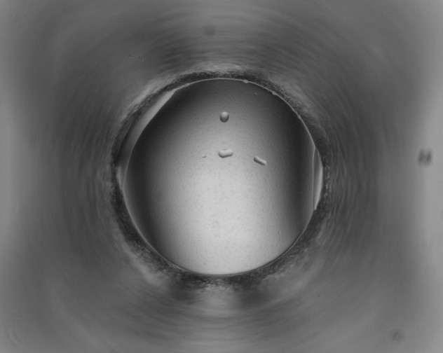 X0000091330256200708171357