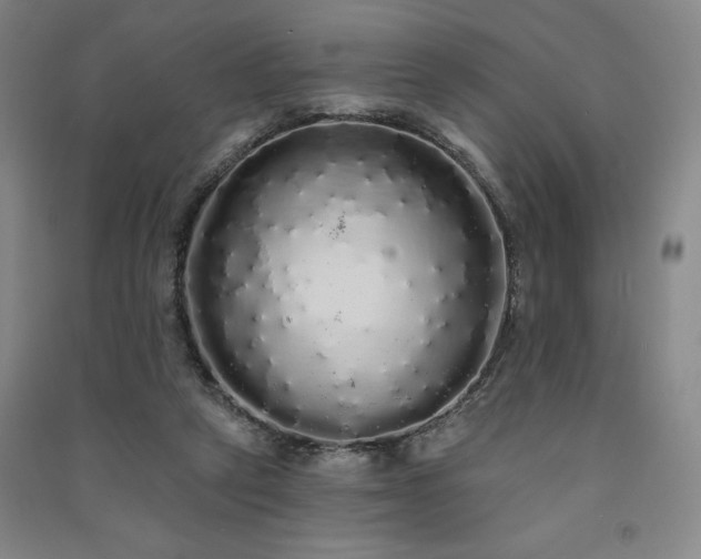 X0000091330257200708171357