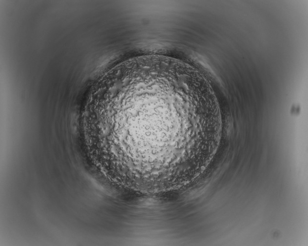 X0000091330259200708171357