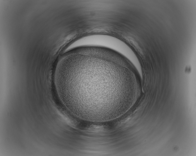 X0000091330260200708171357