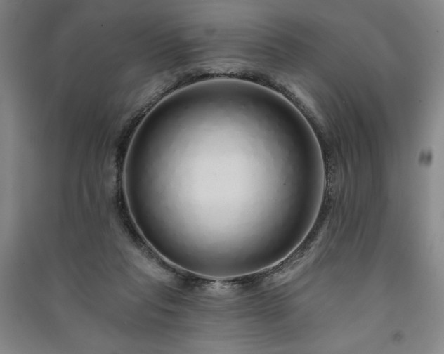 X0000091330261200708171357