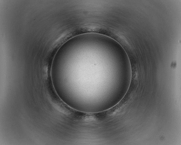 X0000091330262200708171357