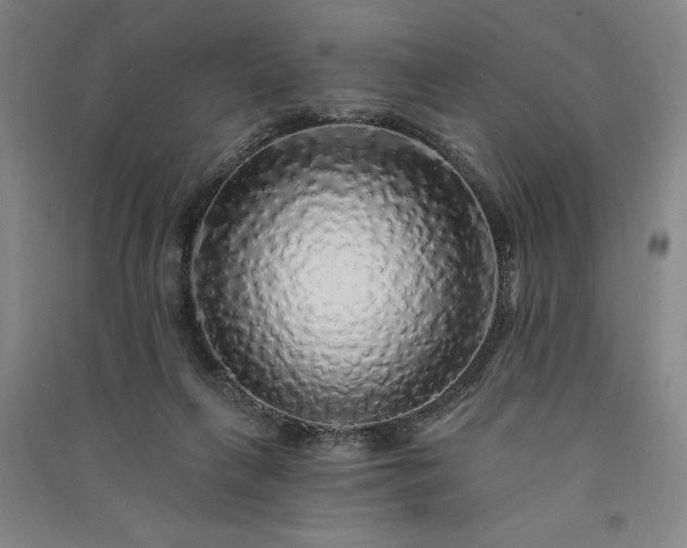 X0000091330263200708171357