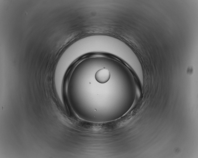 X0000091330264200708171357