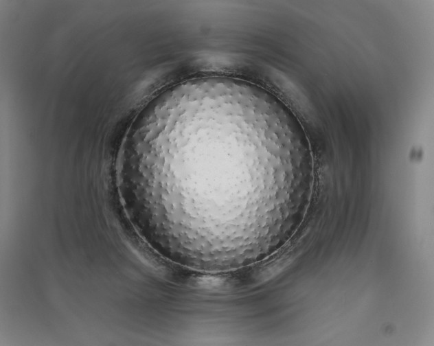 X0000091330265200708171357