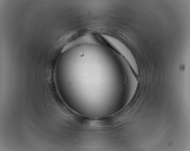 X0000091330268200708171357